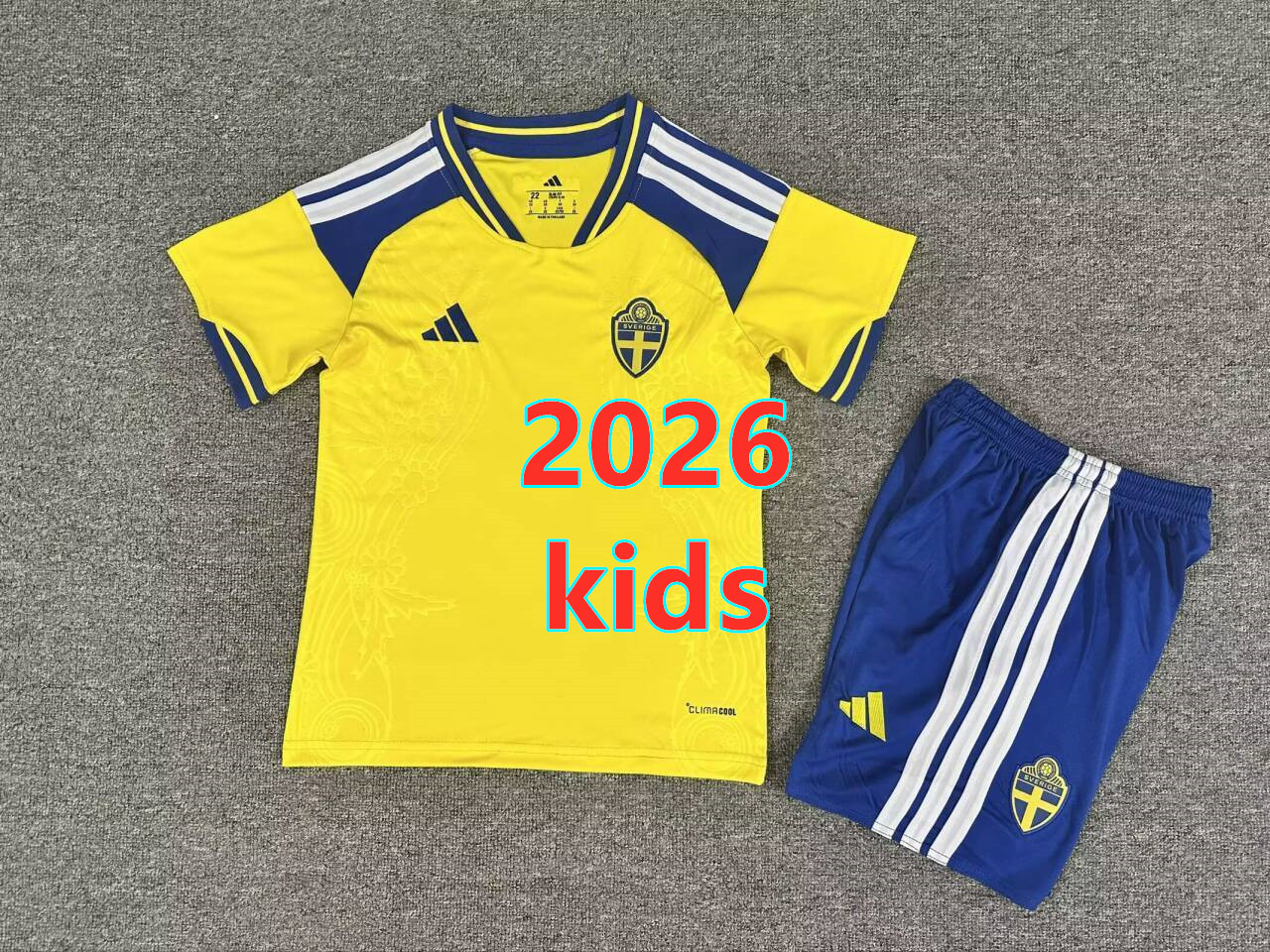 Ensemble domicile Suède 2026