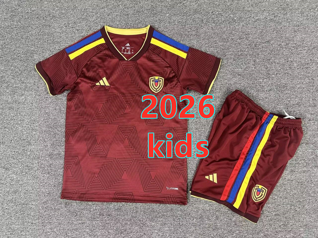 Ensemble domicile Venezuela 2026